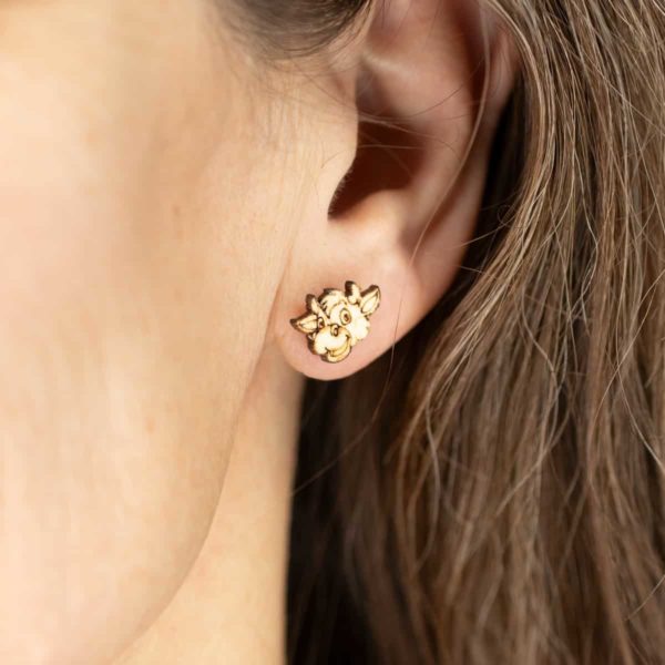 Clous d'oreilles Vachette – Image 3